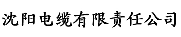 超清影院电缆厂logo